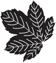 Seasons Textiles Ltd logo