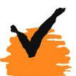 Virat Industries Ltd logo