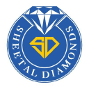 Rajnish Retail Ltd logo