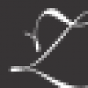 Zenlabs Ethica Ltd logo