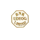 BNR Udyog Ltd logo