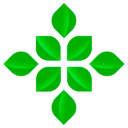 Alfa Ica (India) Ltd logo