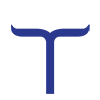 Toyam Sports Ltd logo