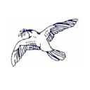 Shantidoot Infra Services Ltd logo