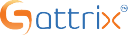 Sattrix Information Security Ltd logo