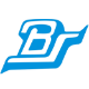 Bharat Seats Ltd logo