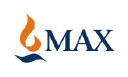 Max India Ltd logo