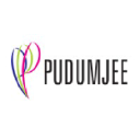 Pudumjee Paper Products Ltd logo