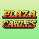 Plaza Wires Ltd logo
