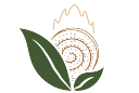 Shubhshree Biofuels Energy Ltd logo